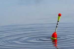 Как подготовиться к поплавочной ловле новичку — интернет-магазин «Amias» даст несколько советов