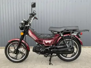 Подойдет ли мопед Дельта для эксплуатации в городе?